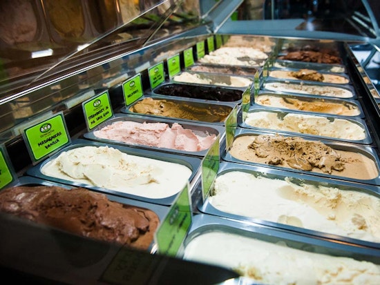 Lower Haight Leftovers: Bear Bait, Real Estate & More