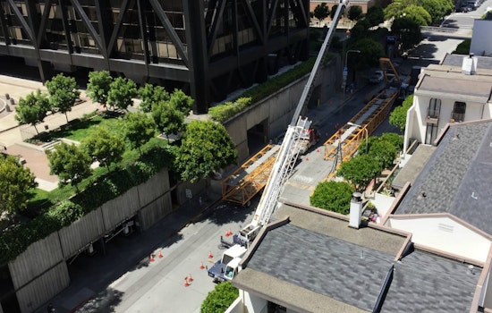 Photo: The Crane Is Back!