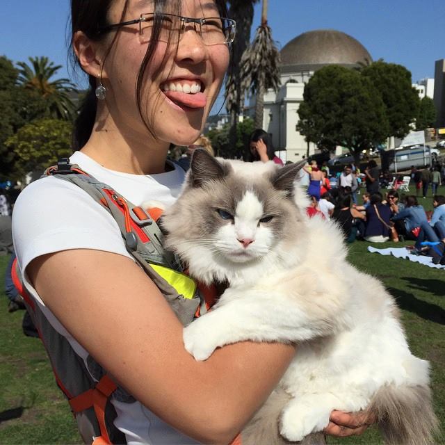 Felines convene for Caturday in Dolores Park